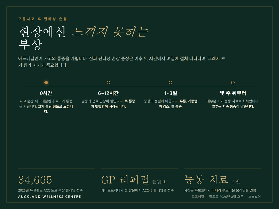 교통사고 후 편타성 손상 증상 타임라인: 0시간에는 아드레날린이 통증을 가려 그저 놀란 정도로 느끼고, 6~12시간에 목 통증과 뻣뻣함이 시작되며, 1~3일에 두통과 가동범위 감소로 증상이 정점에 이르고, 이후 몇 주에 걸쳐 대부분은 조기 능동 치료로 회복하지만 일부는 지속 통증이 남습니다. 뉴질랜드는 2025년 34,665건의 ACC 도로 부상 클레임을 접수했습니다.