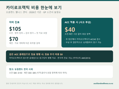 뉴질랜드 카이로프랙틱 비용 총정리 (2026 가이드)